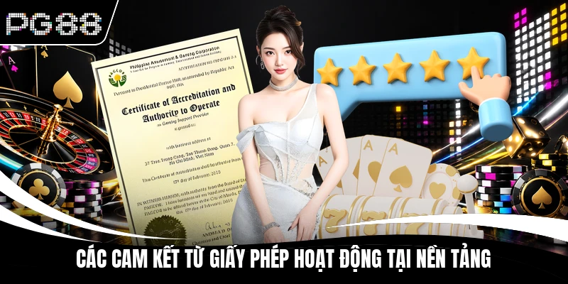 Các cam kết từ giấy phép hoạt động tại nền tảng