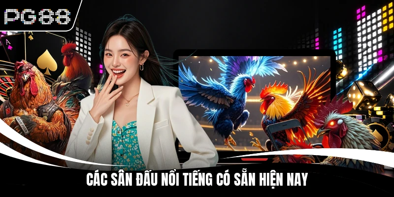 Các sân đấu nổi tiếng có sẵn hiện nay