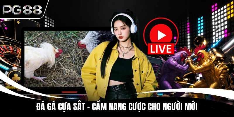 Đá gà cựa sắt